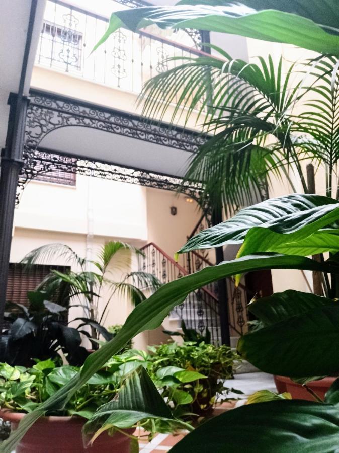 Botanic Apartment Málaga